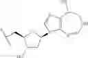 Fig. 26 - NUCLEOSIDE PHOSPHORAMIDATES AND PHOSPHORAMIDITES