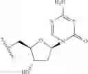Fig. 32 - NUCLEOSIDE PHOSPHORAMIDATES AND PHOSPHORAMIDITES