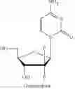 Fig. 46 - NUCLEOSIDE PHOSPHORAMIDATES AND PHOSPHORAMIDITES