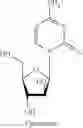 Fig. 47 - NUCLEOSIDE PHOSPHORAMIDATES AND PHOSPHORAMIDITES