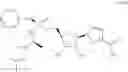 Fig. 70 - NUCLEOSIDE PHOSPHORAMIDATES AND PHOSPHORAMIDITES