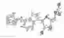 Fig. 01 - Anhydrous polymorphs of [(2R,3S,4R,5R)-5-(6-(cyclopentylamino)-9H-purin-9-YL)-3,4-dihydroxytetrahydrofuran-2-YL)] methyl nitrate and processes of preparation thereof
