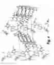 Fig. 05 - Anhydrous polymorphs of [(2R,3S,4R,5R)-5-(6-(cyclopentylamino)-9H-purin-9-YL)-3,4-dihydroxytetrahydrofuran-2-YL)] methyl nitrate and processes of preparation thereof