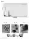 Fig. 06 - Method for preparing metal nanostructure based on biomolecules