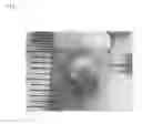 Fig. 05 - Peptide and Complex of Same, Scaffold for Tissue Repair and Surface Treatment Method for Same, and Surface Treatment Solution or Set of Treatment Solutions