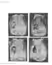 Fig. 07 - Peptide and Complex of Same, Scaffold for Tissue Repair and Surface Treatment Method for Same, and Surface Treatment Solution or Set of Treatment Solutions