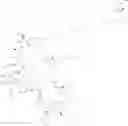 Fig. 101 - Immunomodulators