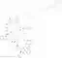 Fig. 103 - Immunomodulators