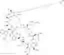 Fig. 114 - Immunomodulators