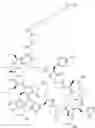 Fig. 136 - Immunomodulators