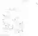 Fig. 145 - Immunomodulators