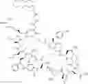 Fig. 173 - Immunomodulators