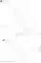 Fig. 176 - Immunomodulators