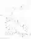Fig. 194 - Immunomodulators