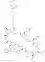 Fig. 196 - Immunomodulators