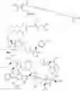 Fig. 235 - Immunomodulators