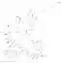 Fig. 245 - Immunomodulators