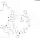 Fig. 27 - Immunomodulators