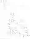 Fig. 274 - Immunomodulators
