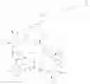 Fig. 319 - Immunomodulators