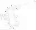 Fig. 325 - Immunomodulators