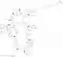 Fig. 328 - Immunomodulators