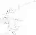 Fig. 333 - Immunomodulators