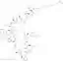 Fig. 335 - Immunomodulators