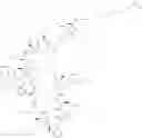 Fig. 337 - Immunomodulators