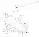 Fig. 338 - Immunomodulators