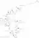 Fig. 339 - Immunomodulators