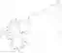 Fig. 347 - Immunomodulators
