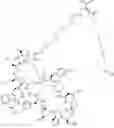 Fig. 359 - Immunomodulators