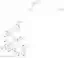 Fig. 367 - Immunomodulators