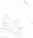 Fig. 375 - Immunomodulators