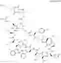 Fig. 41 - Immunomodulators