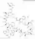 Fig. 415 - Immunomodulators