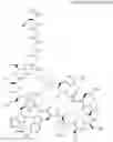 Fig. 419 - Immunomodulators