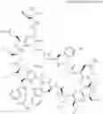 Fig. 421 - Immunomodulators