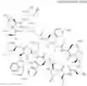 Fig. 424 - Immunomodulators