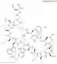 Fig. 425 - Immunomodulators