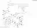 Fig. 433 - Immunomodulators