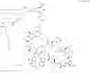 Fig. 434 - Immunomodulators