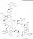 Fig. 473 - Immunomodulators