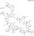 Fig. 48 - Immunomodulators