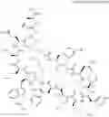 Fig. 481 - Immunomodulators