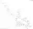 Fig. 487 - Immunomodulators