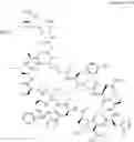 Fig. 49 - Immunomodulators