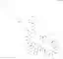 Fig. 495 - Immunomodulators