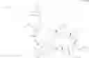Fig. 496 - Immunomodulators